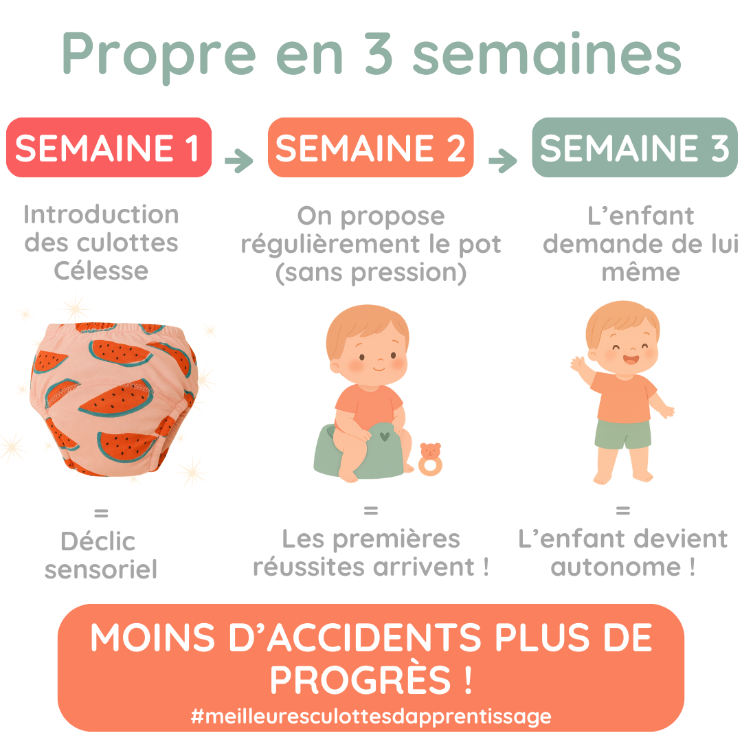 Lot de 3 culottes d'apprentissage