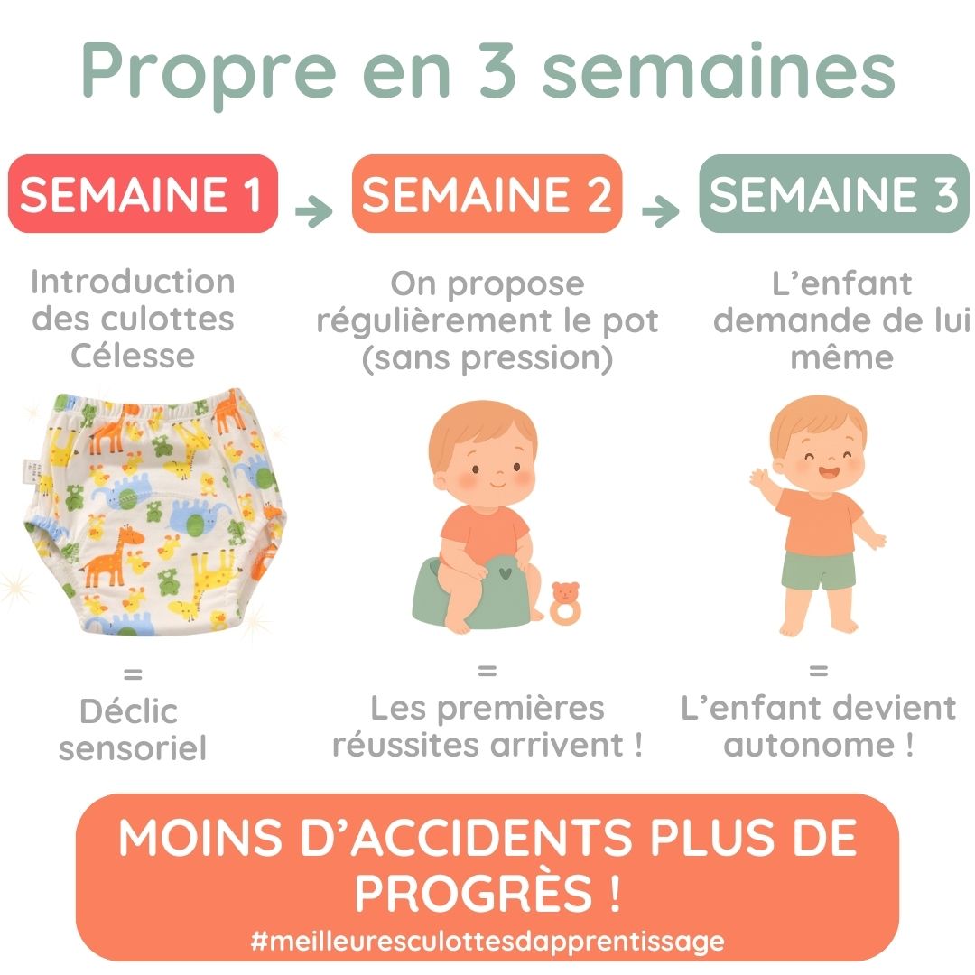 Culottes d'apprentissage pour la propreté