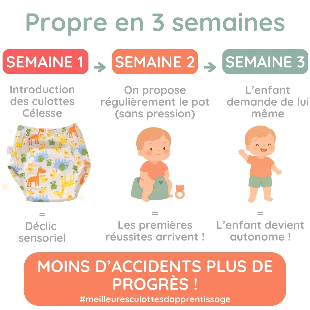 Lot de 7 culottes d'apprentissage de la propreté