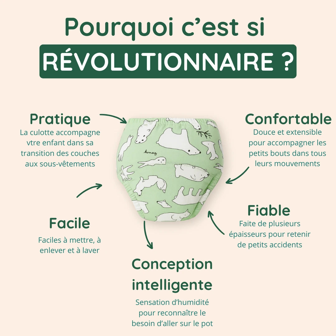 Culotte d'apprentissage de la propreté