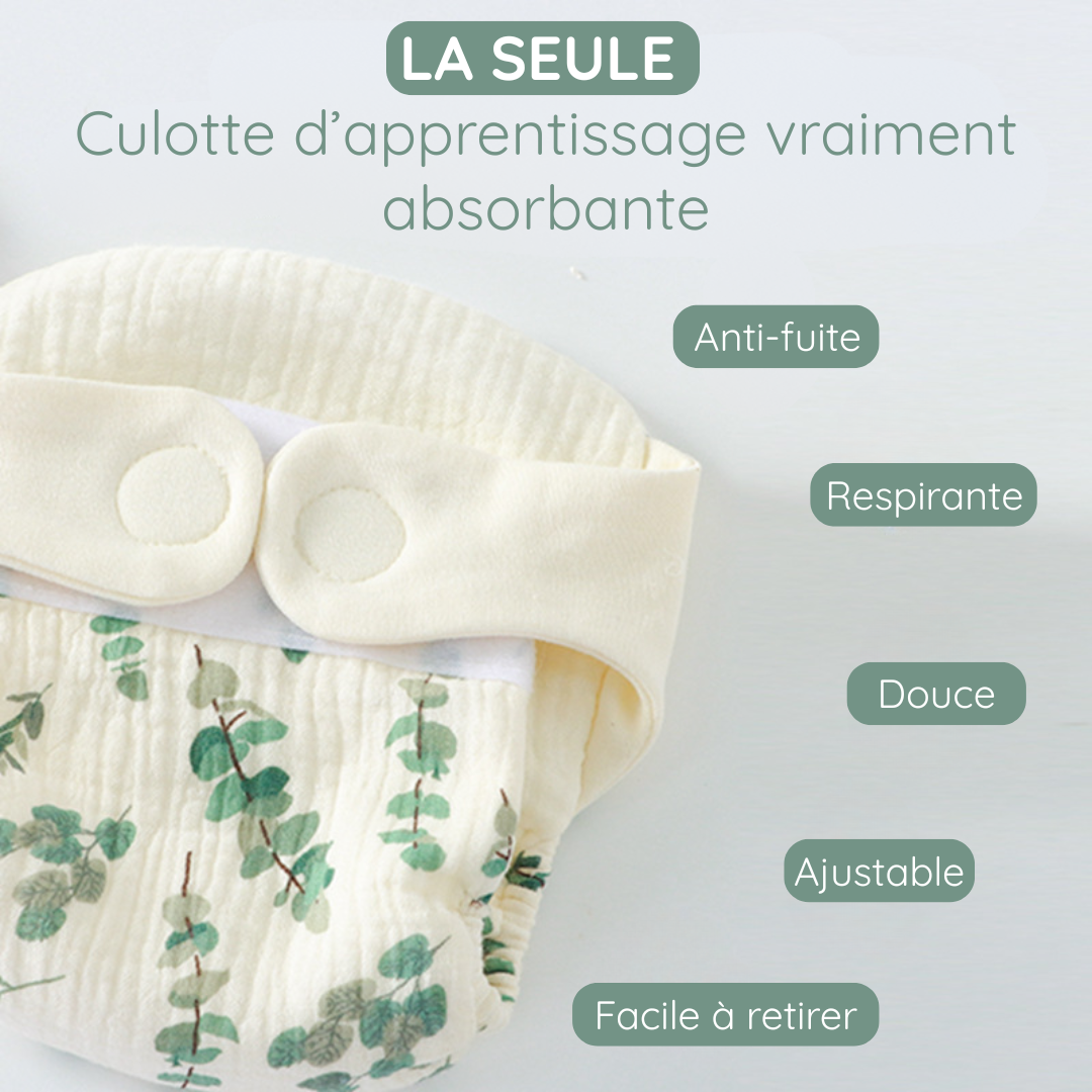 Culotte d'apprentissage absorbante +