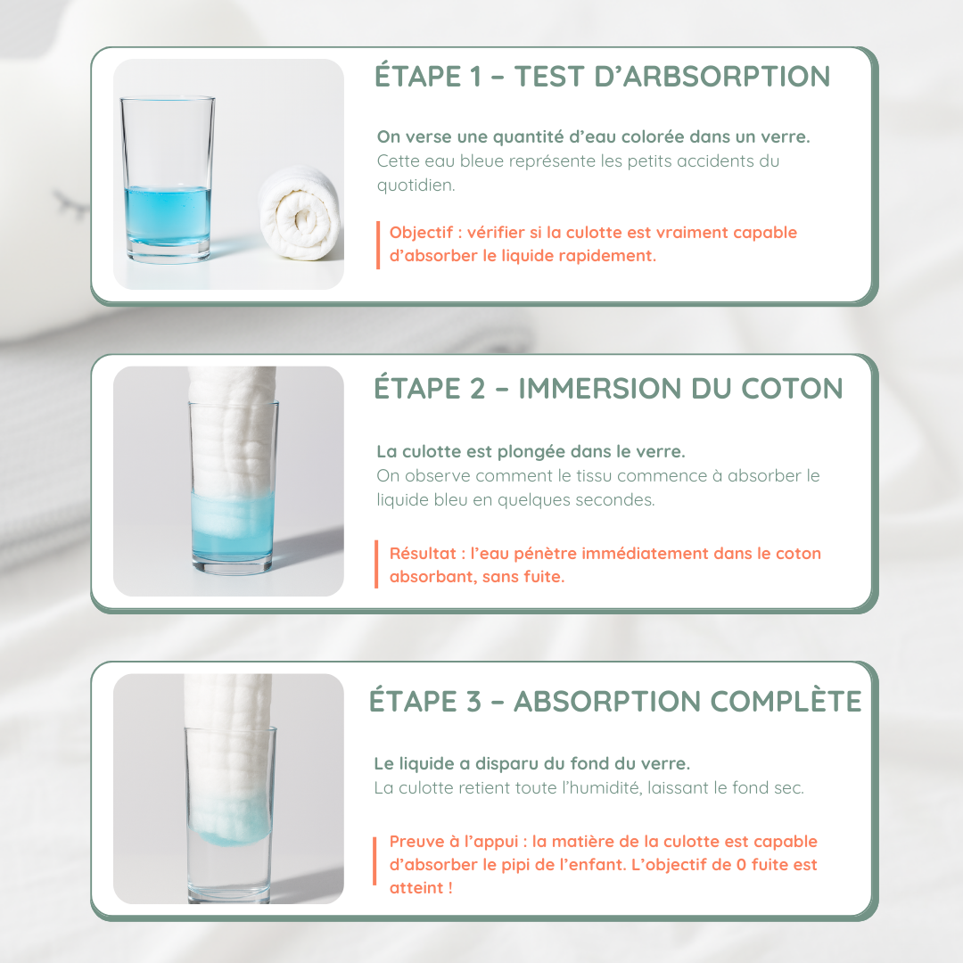Culotte d'apprentissage absorbante +